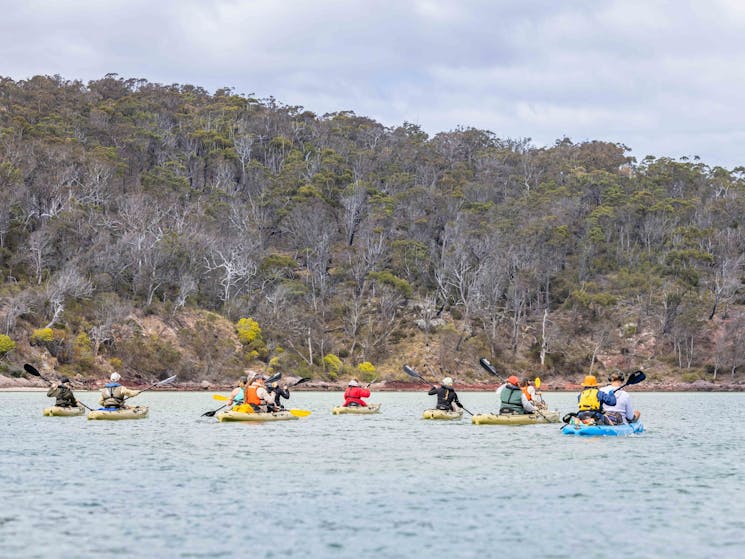Guests kayaking the Pambula River