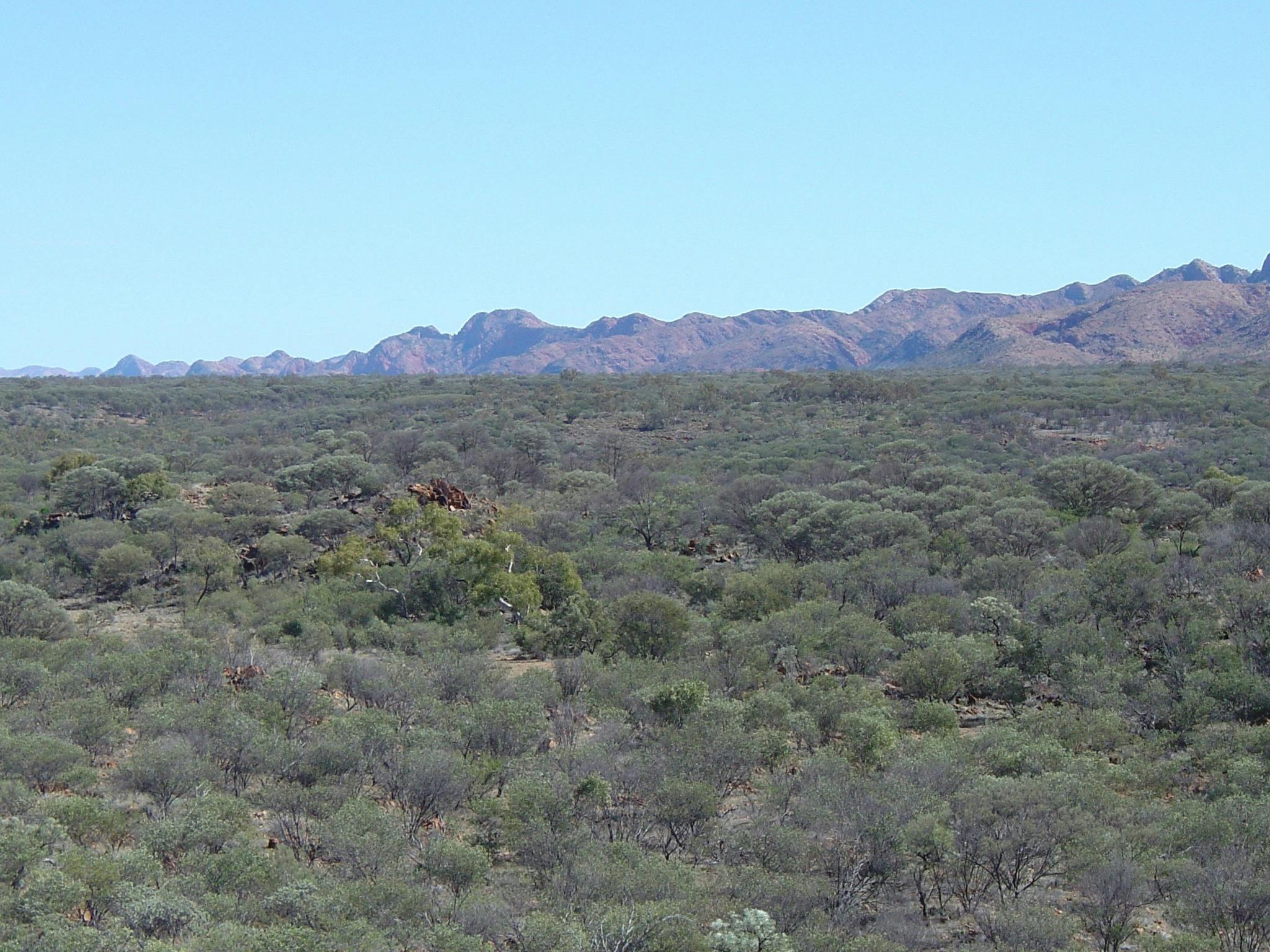 Rocky Gully
