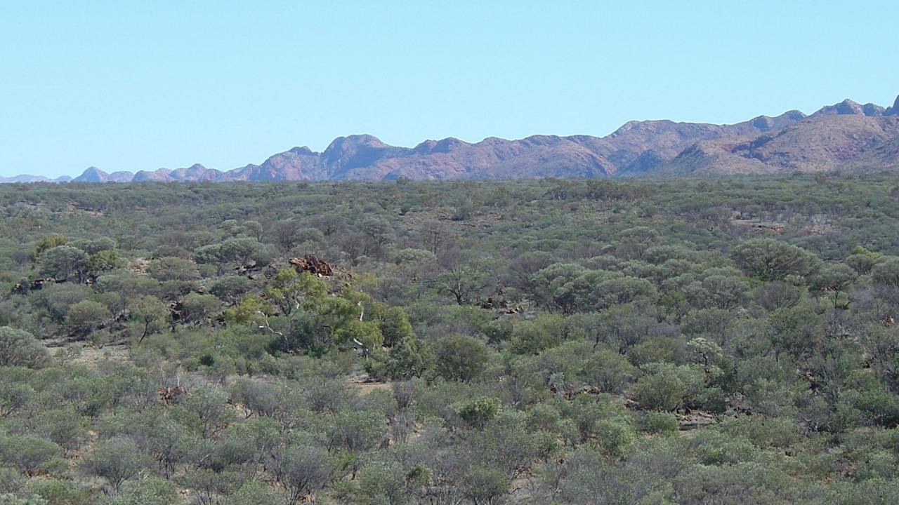 View along Section 6 Larapinta Trail