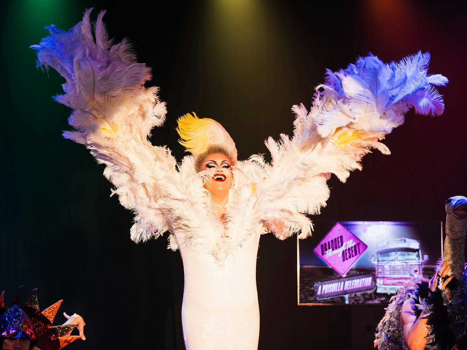 Dragged Through the Desert – A Priscilla Celebration