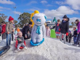 2021 Snowflakes in Stanthorpe Cover Image