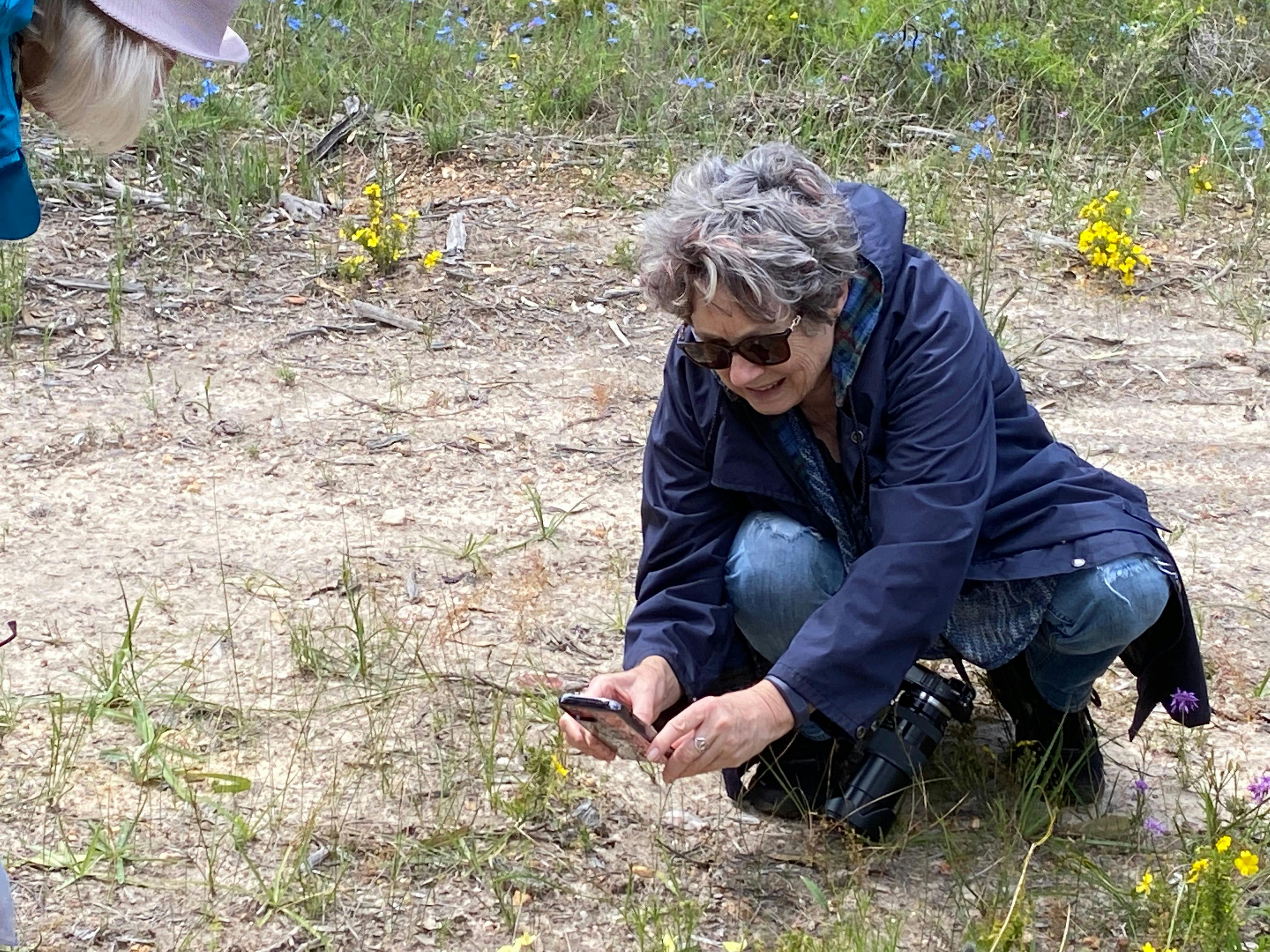 Northern Wildflower Tours