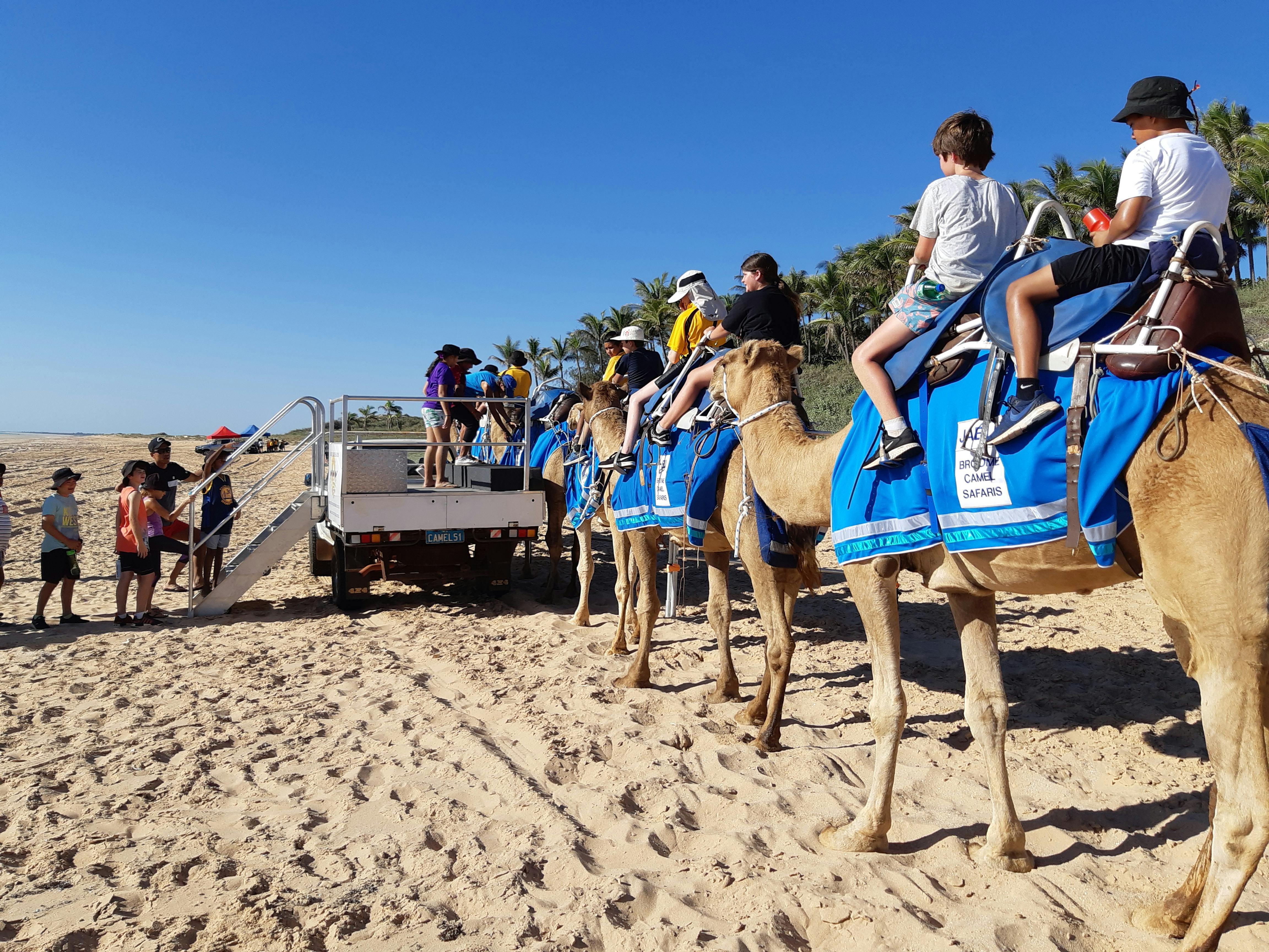 Broome Camel Safaris, Cable Beach, Western Australia