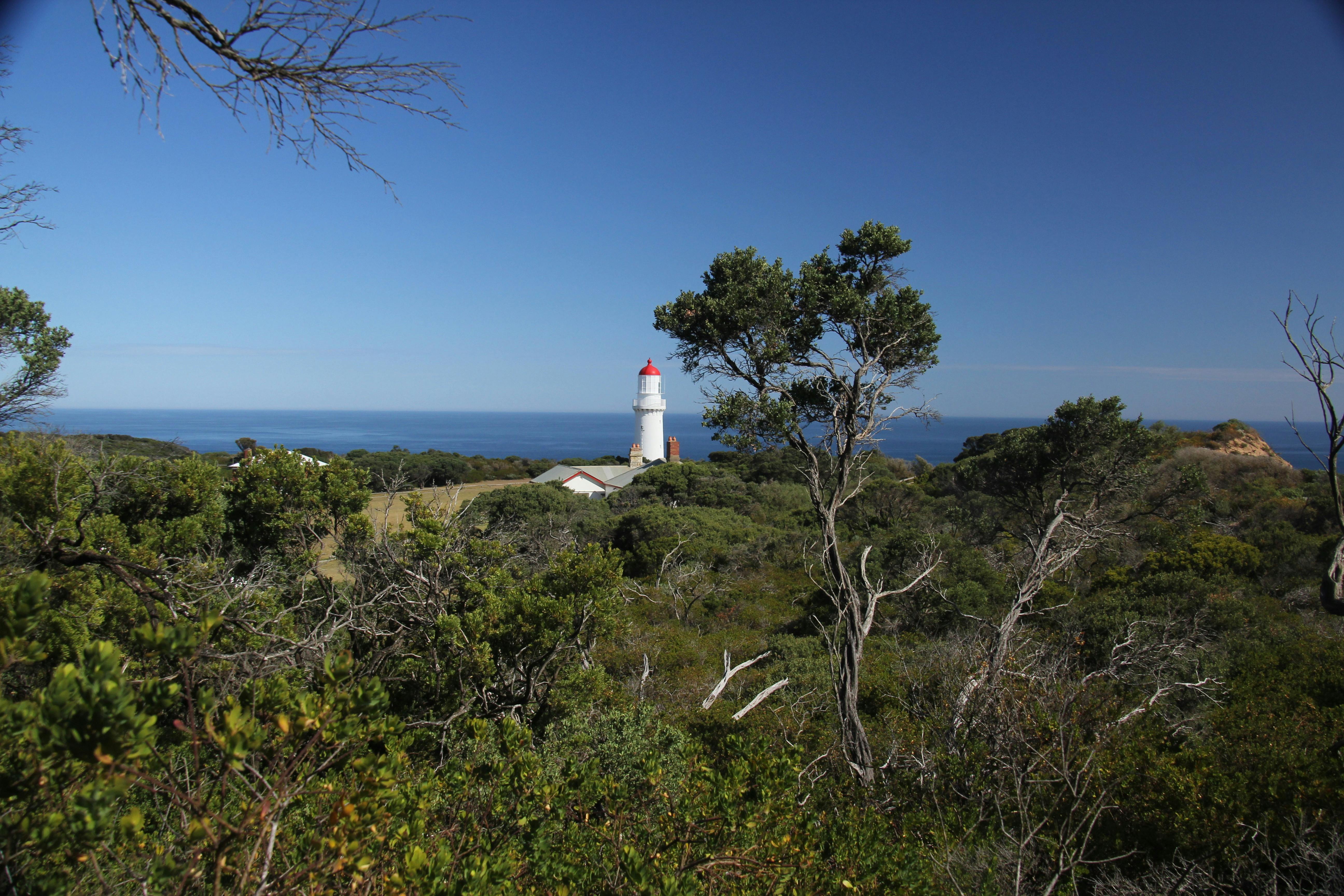 Cape Schanck to Gunnamatta Surf Beach (part of The Coastal Walk)