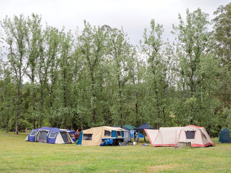 Swans Corssing campsite, Kerewong State Forest