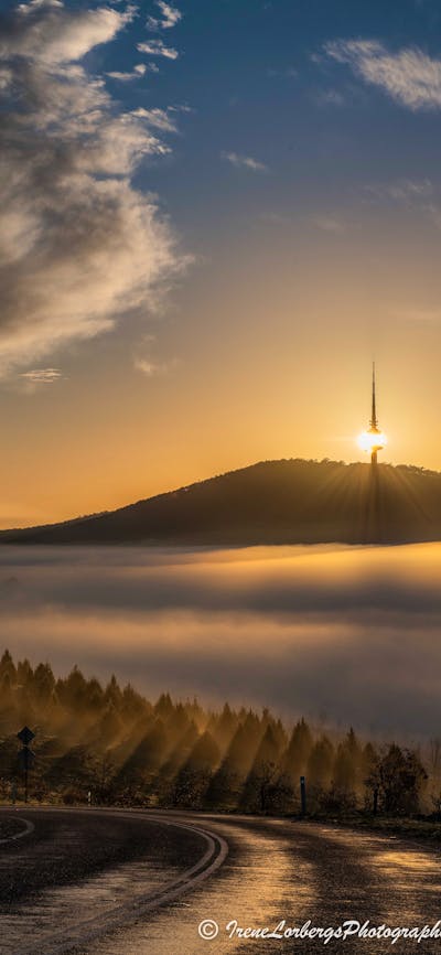 Telstra tower at sunrise with fog
