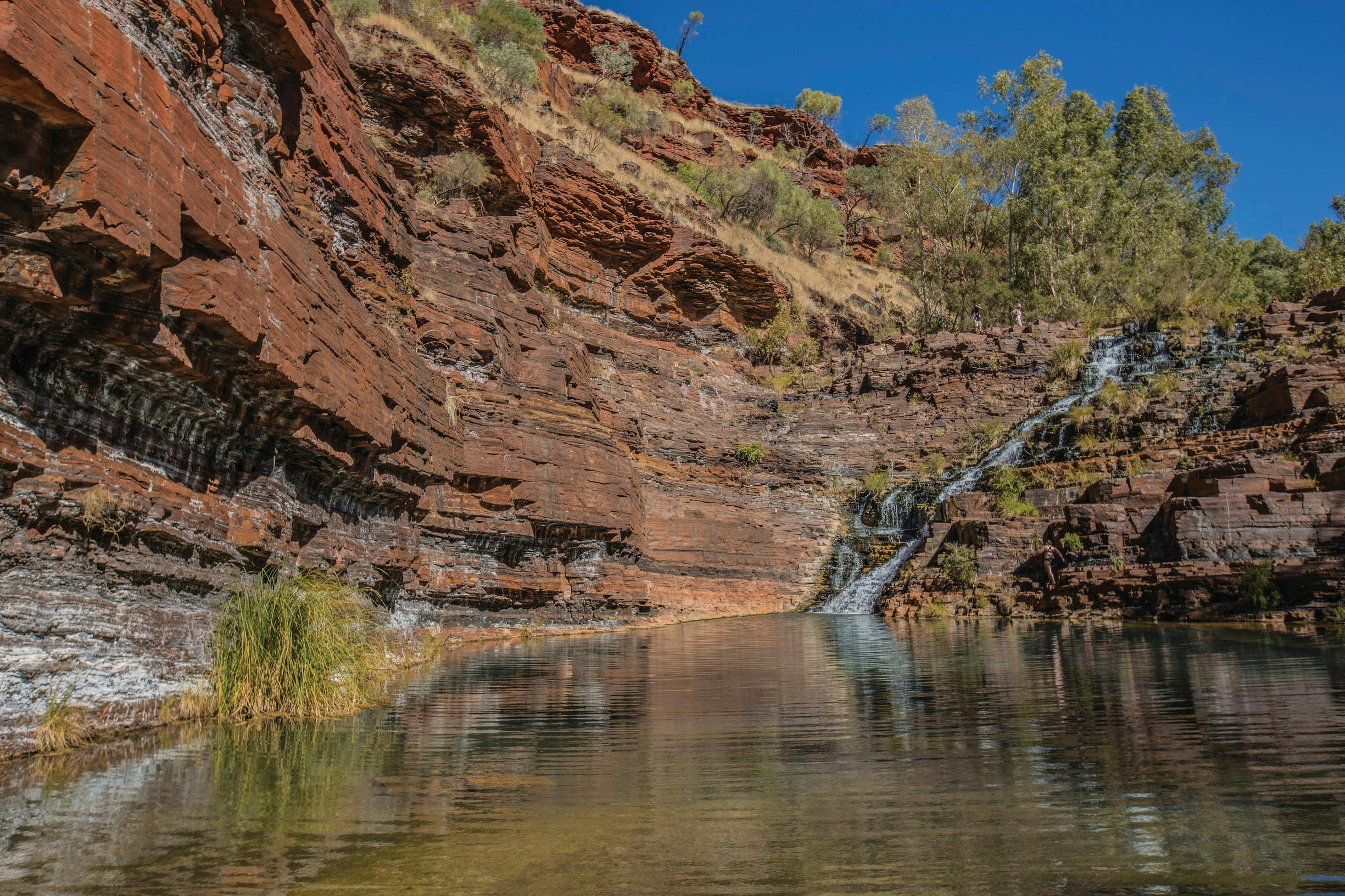 Pilbara Wildflower Trail, Karijini National Park, Western Australia