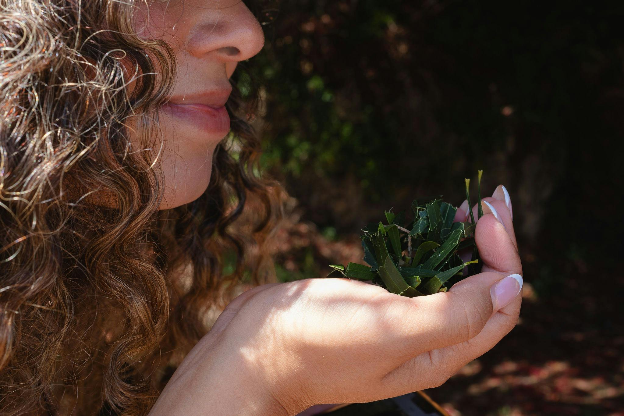 Learn about bush medicines