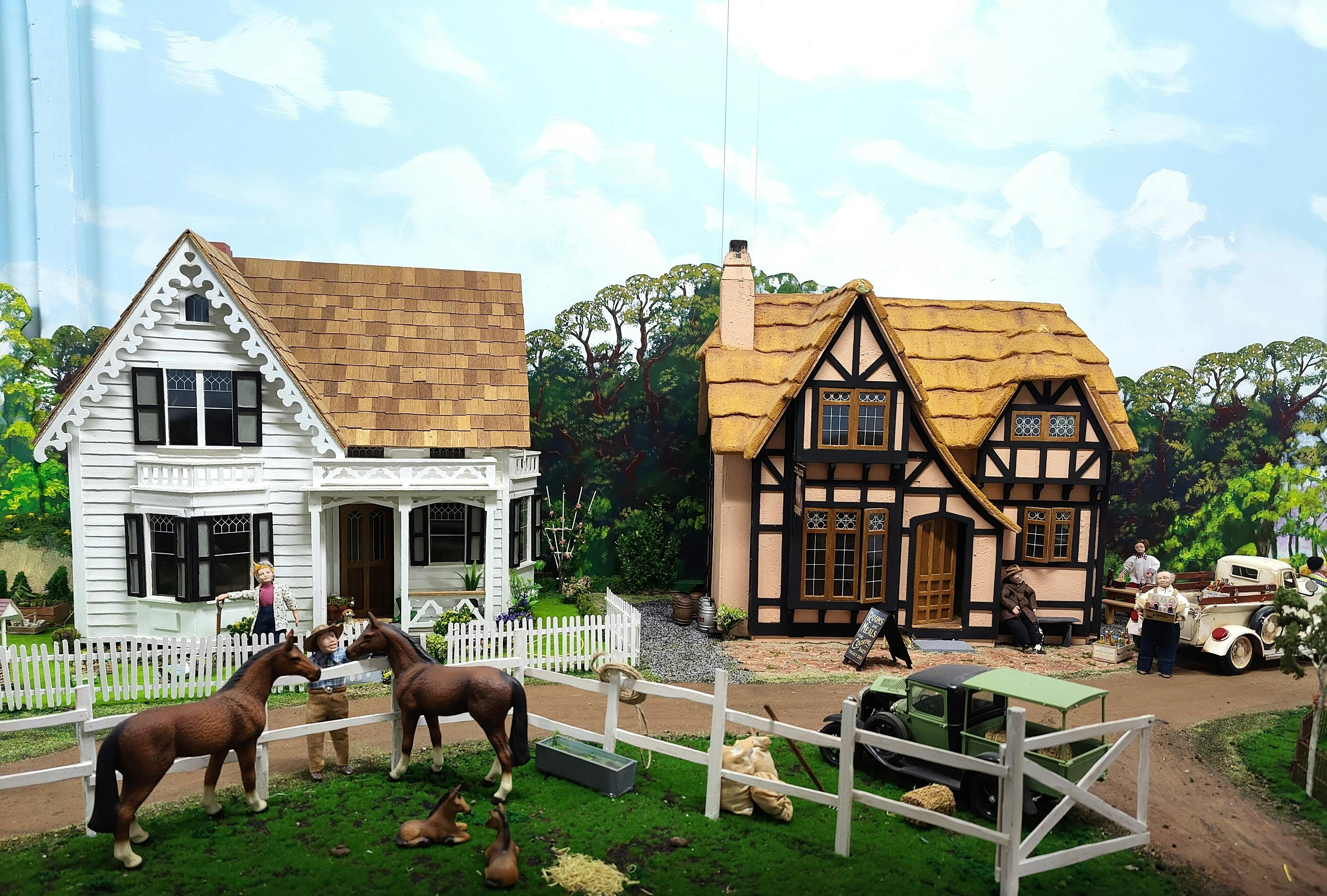 Horses in the village