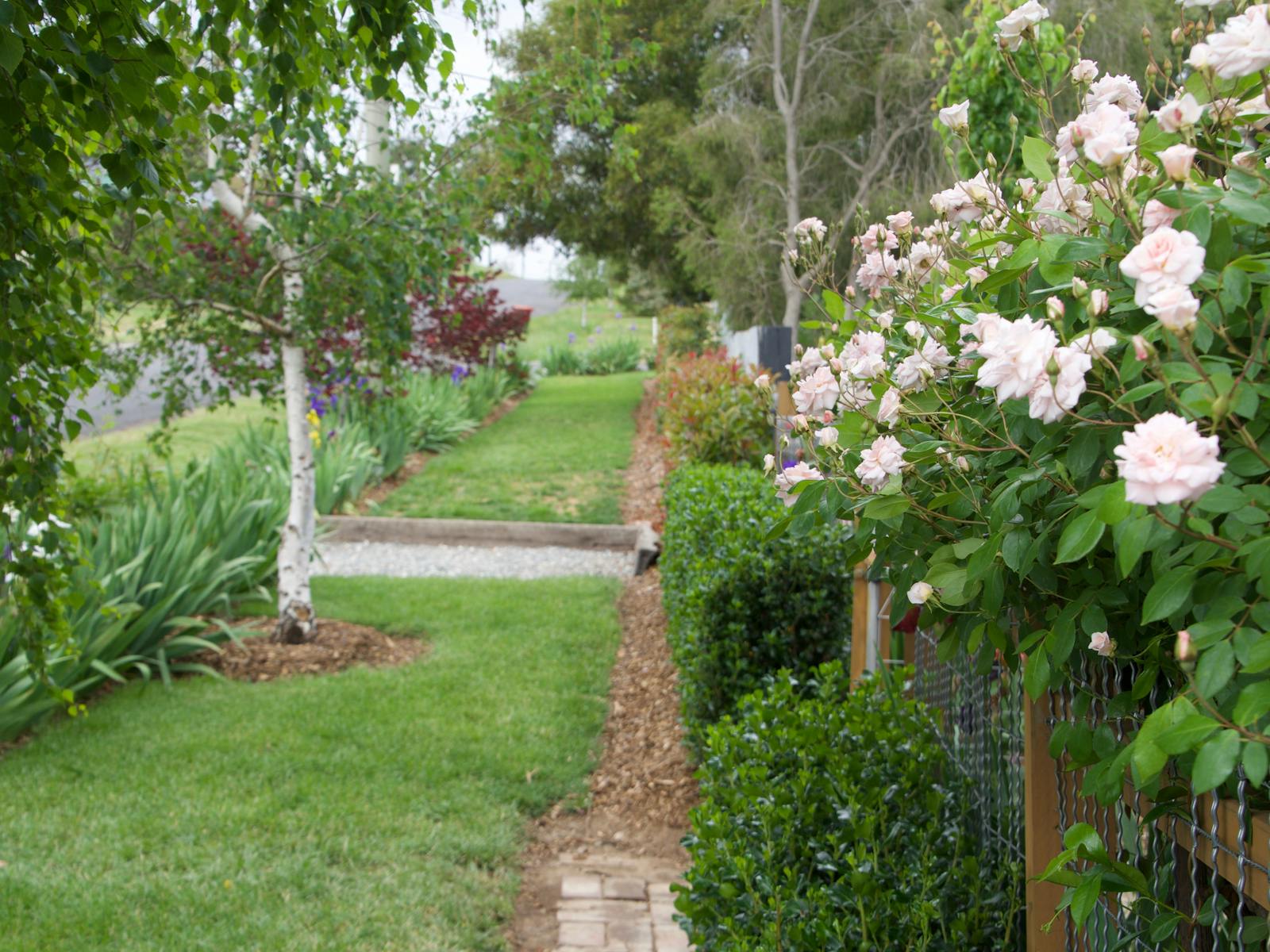 Image for Millthorpe Garden Ramble
