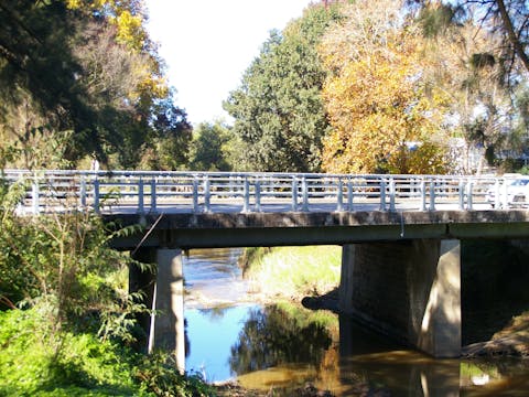 Discover Picton Group Tour