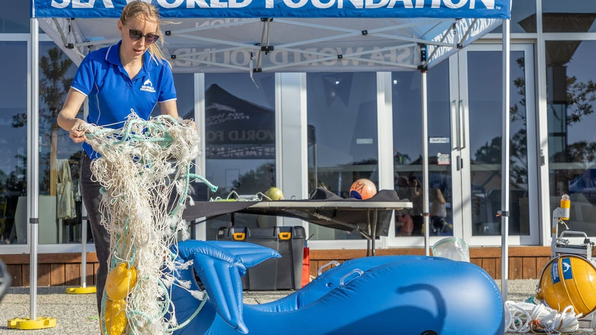 Sea World Foundation educating patrons how to safe whales trapped in nets.