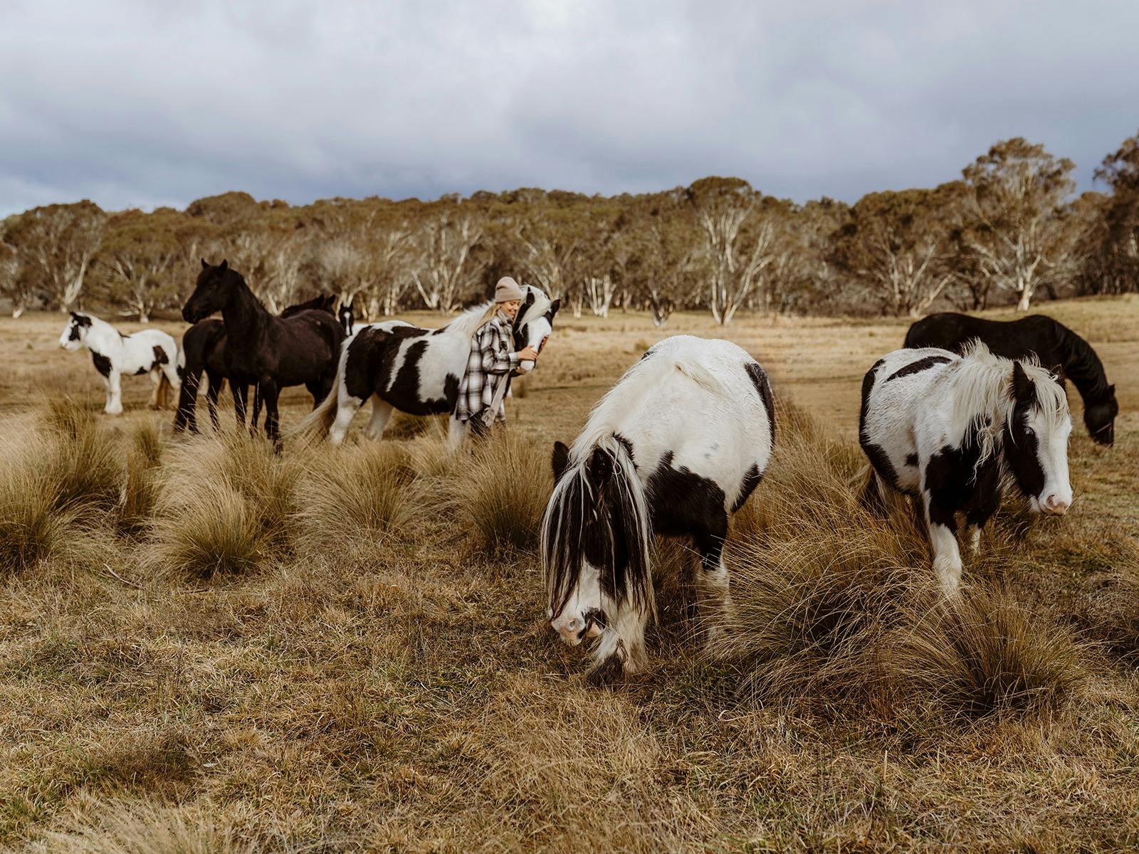 the girl is giving a hug to the horses on the paddock