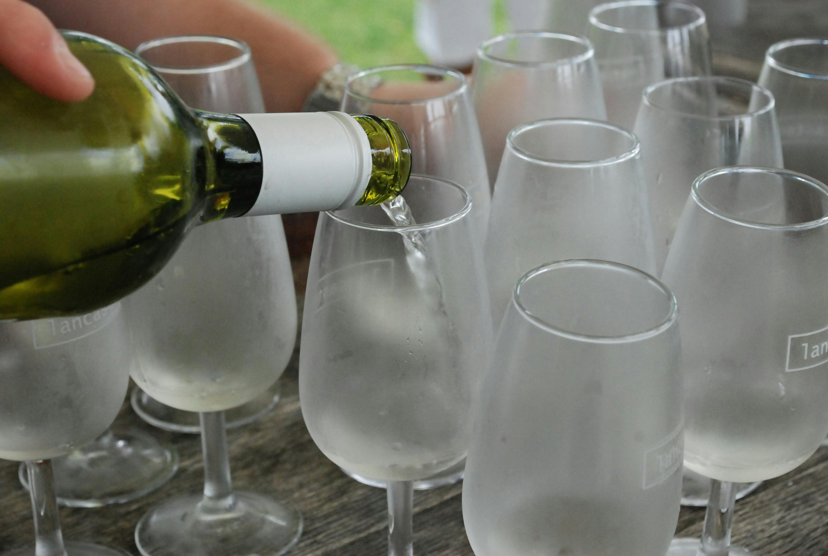 White Wine Tasting