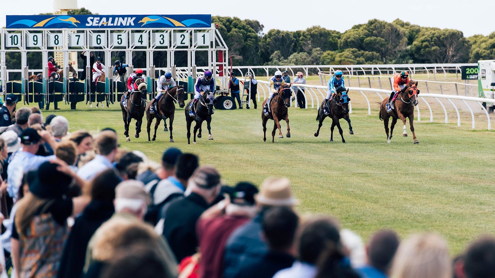 SeaLink Kangaroo Island Racing Carnival
