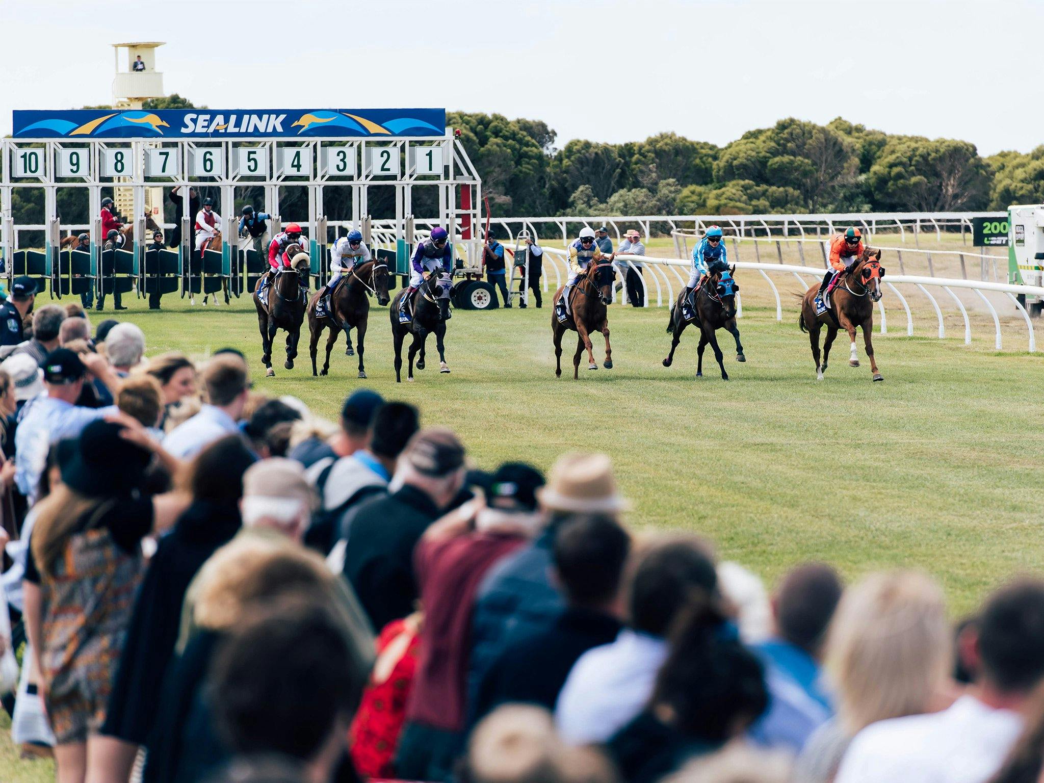 The horse race starts