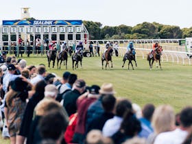 SeaLink Kangaroo Island Racing Carnival Cover Image