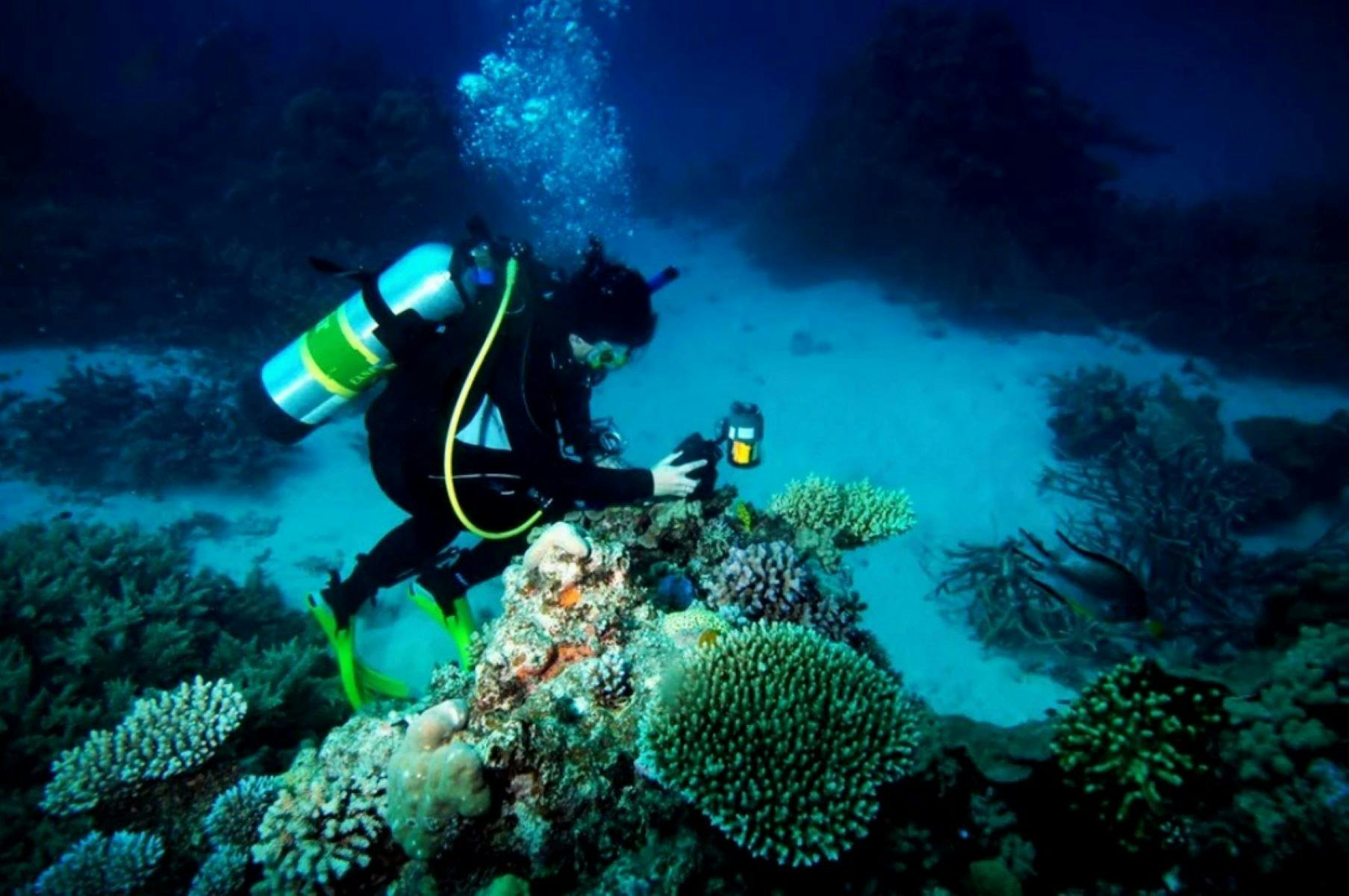 Shellharbour Scuba Centre