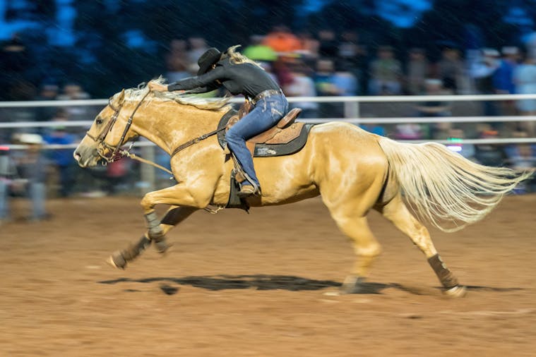 Rodeo by the Sea Streaky Bay (1)