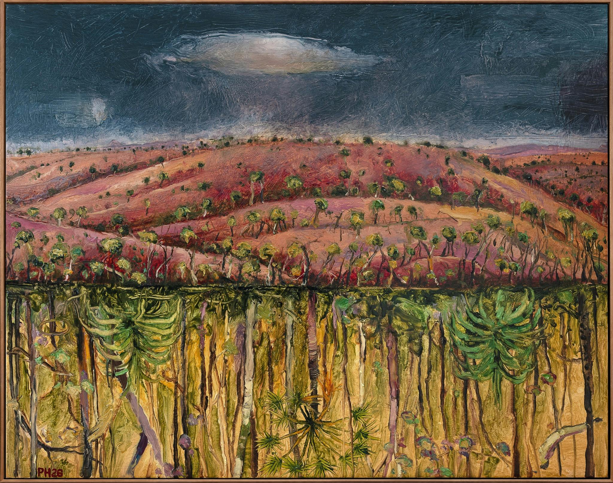 Carnarvon Gorge by Peter Hudson Artist