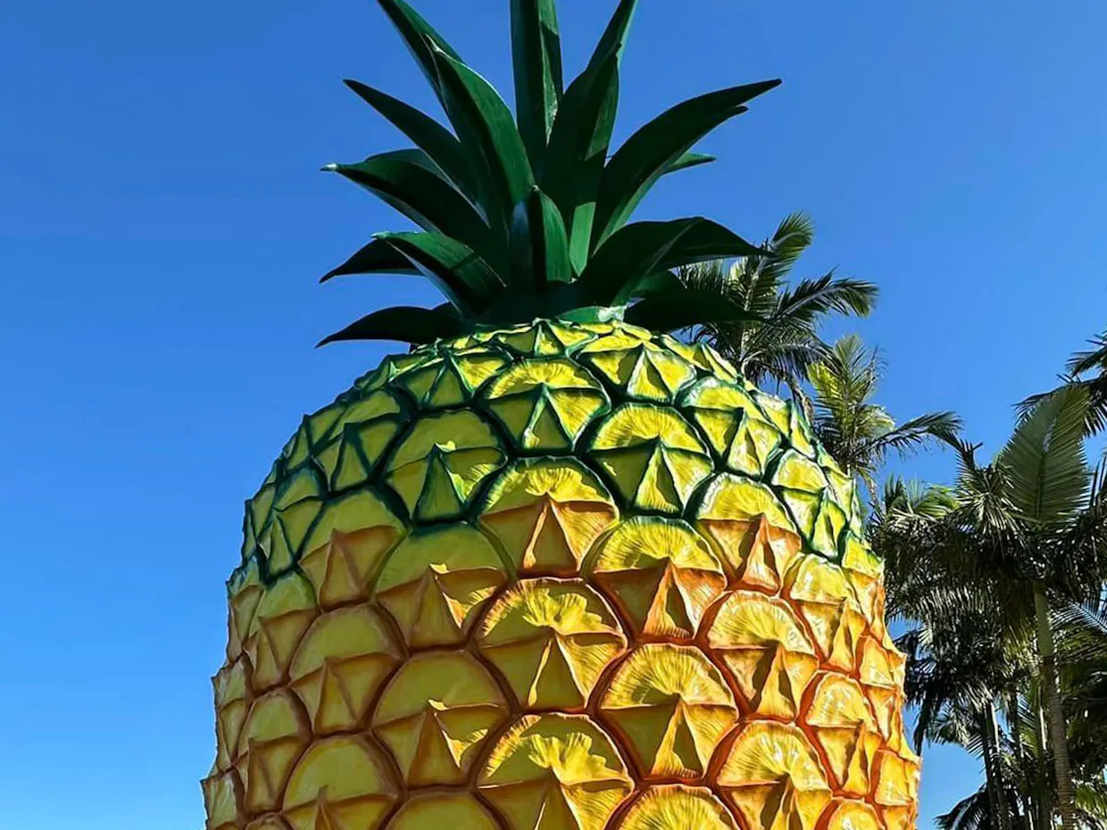 The Big Pineapple