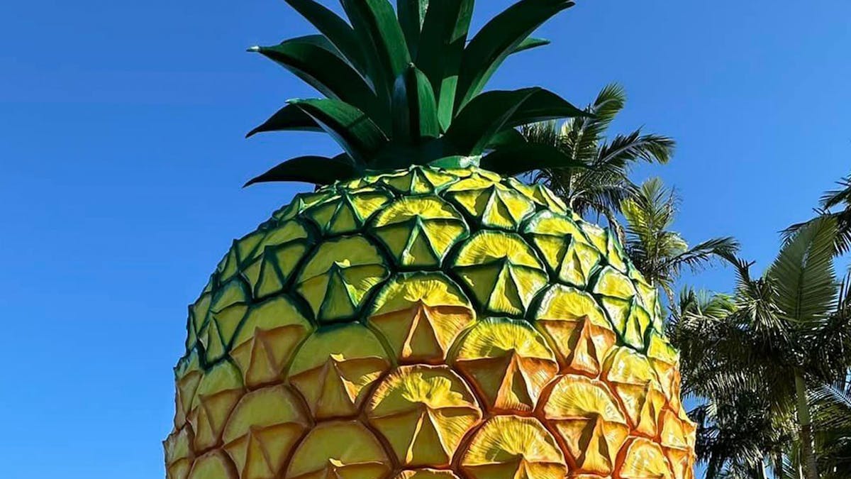 The Big Pineapple