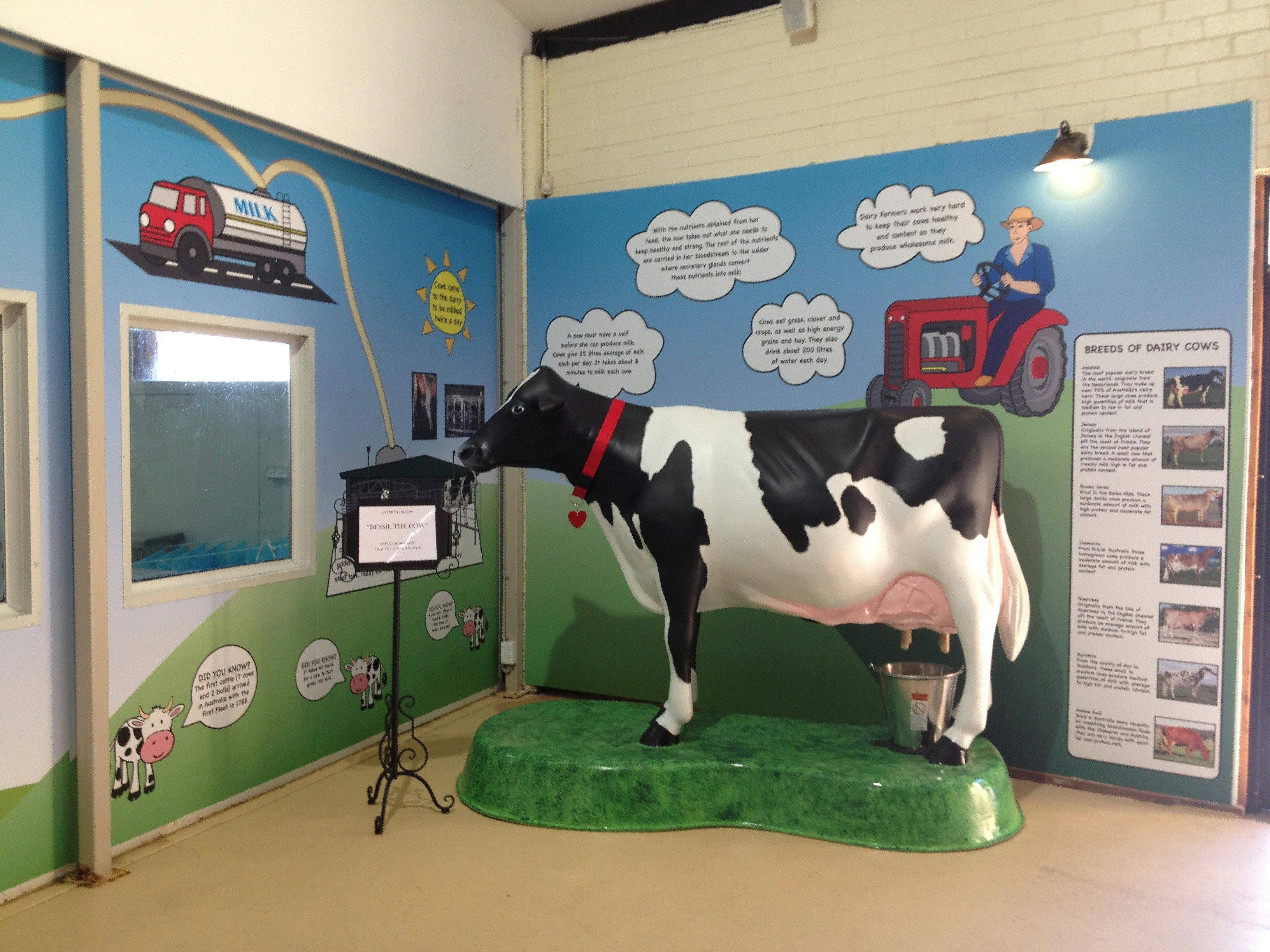 我們的設施具有教育意義，為兒童和成人提供豐富的知識