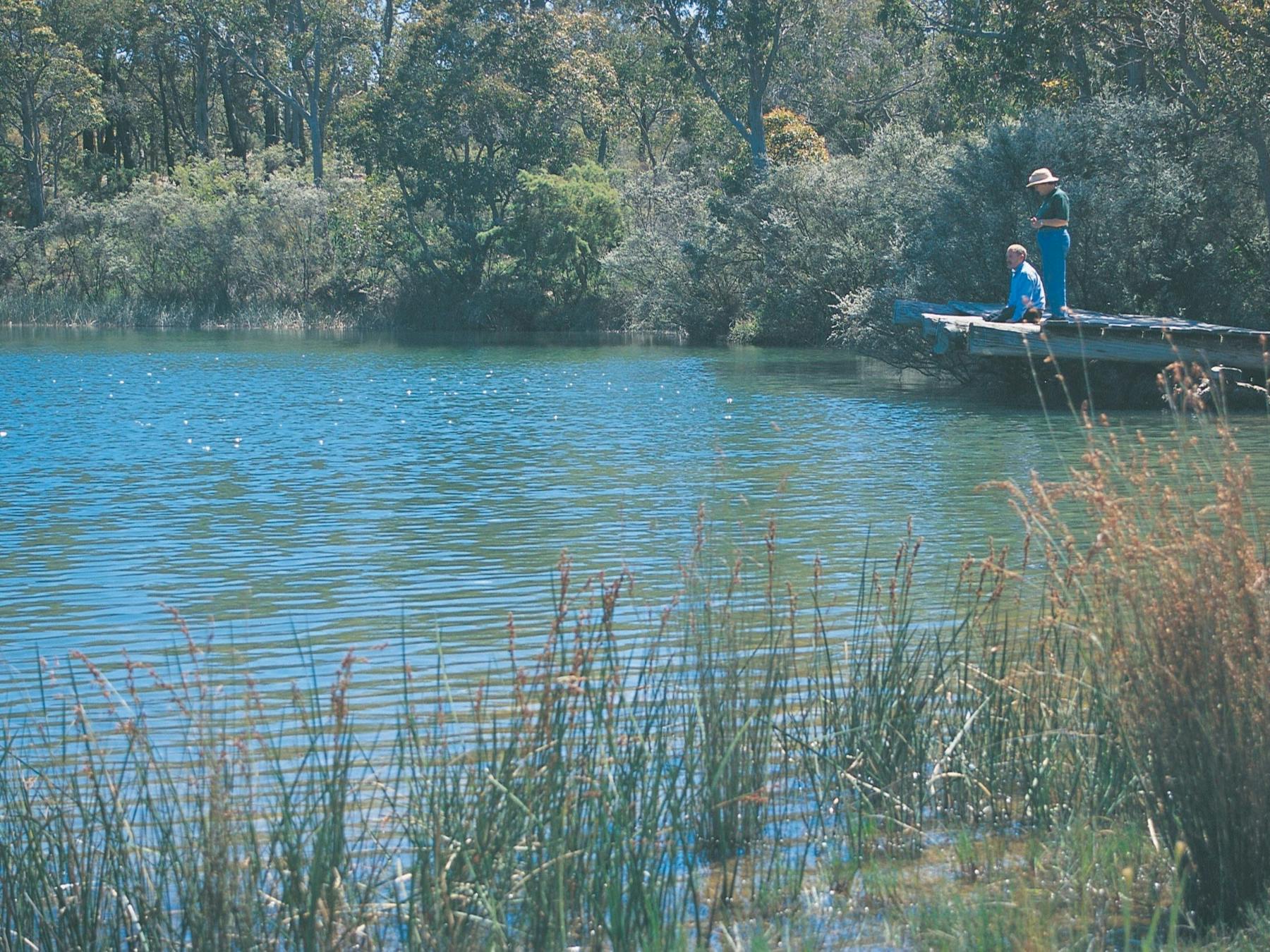 Greenbushes Loop, Greenbushes, Western Australia