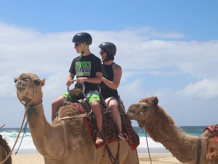 Port Macquarie Camel Safaris