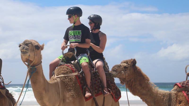 Port Macquarie Camel Safaris