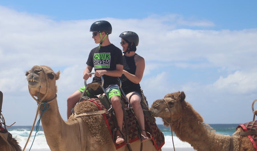 Port Macquarie Camel Safaris Port Macquarie Camel Safaris