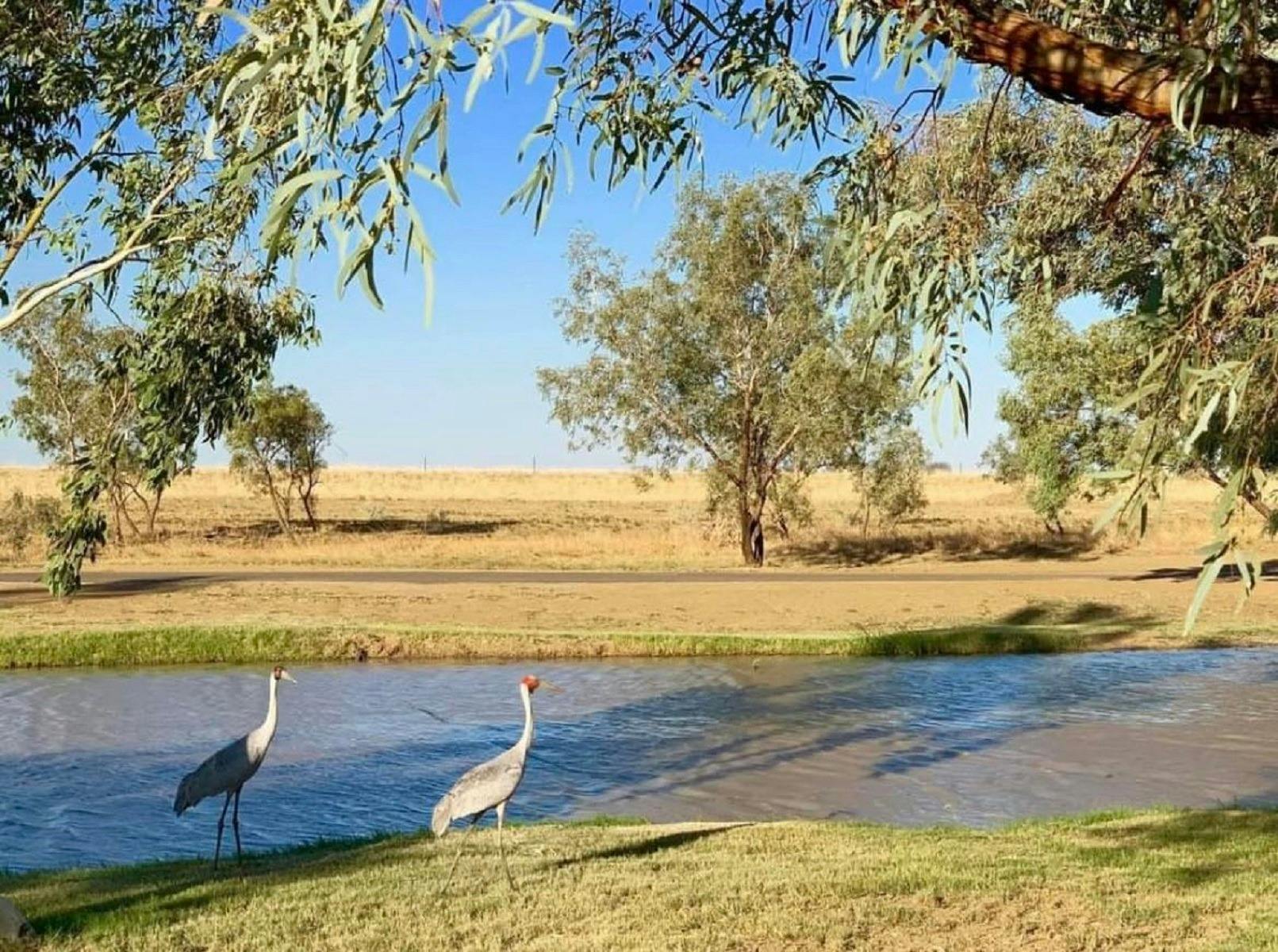 Julia Creek Free RV Park