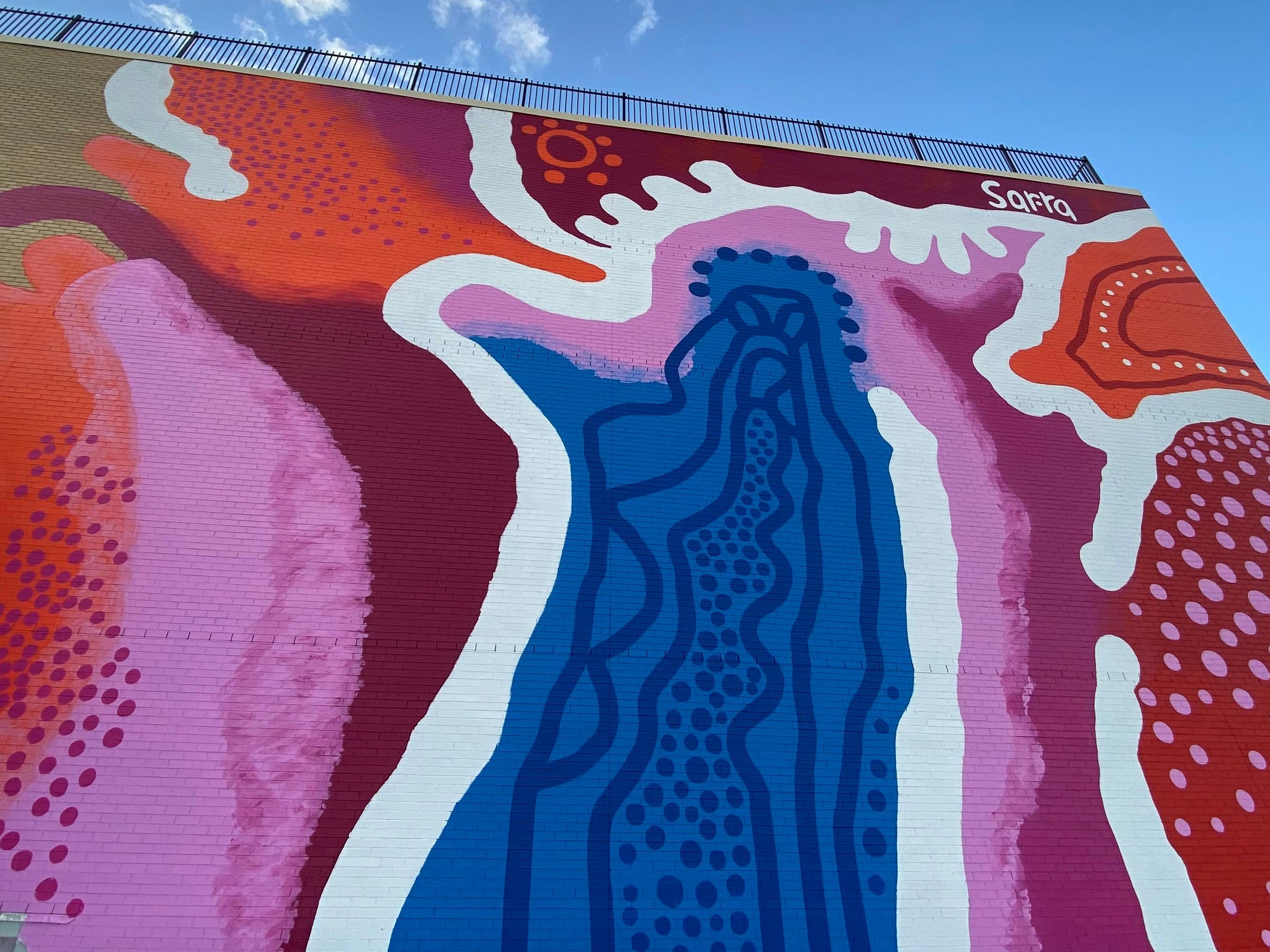 Ipswich Central Street Art Trail | 'Distant Country' by Rachel Sarra