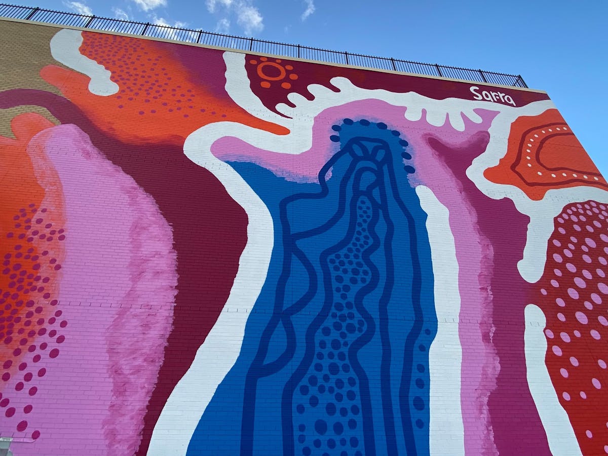 Ipswich Central Street Art Trail | 'Distant Country' by Rachel Sarra