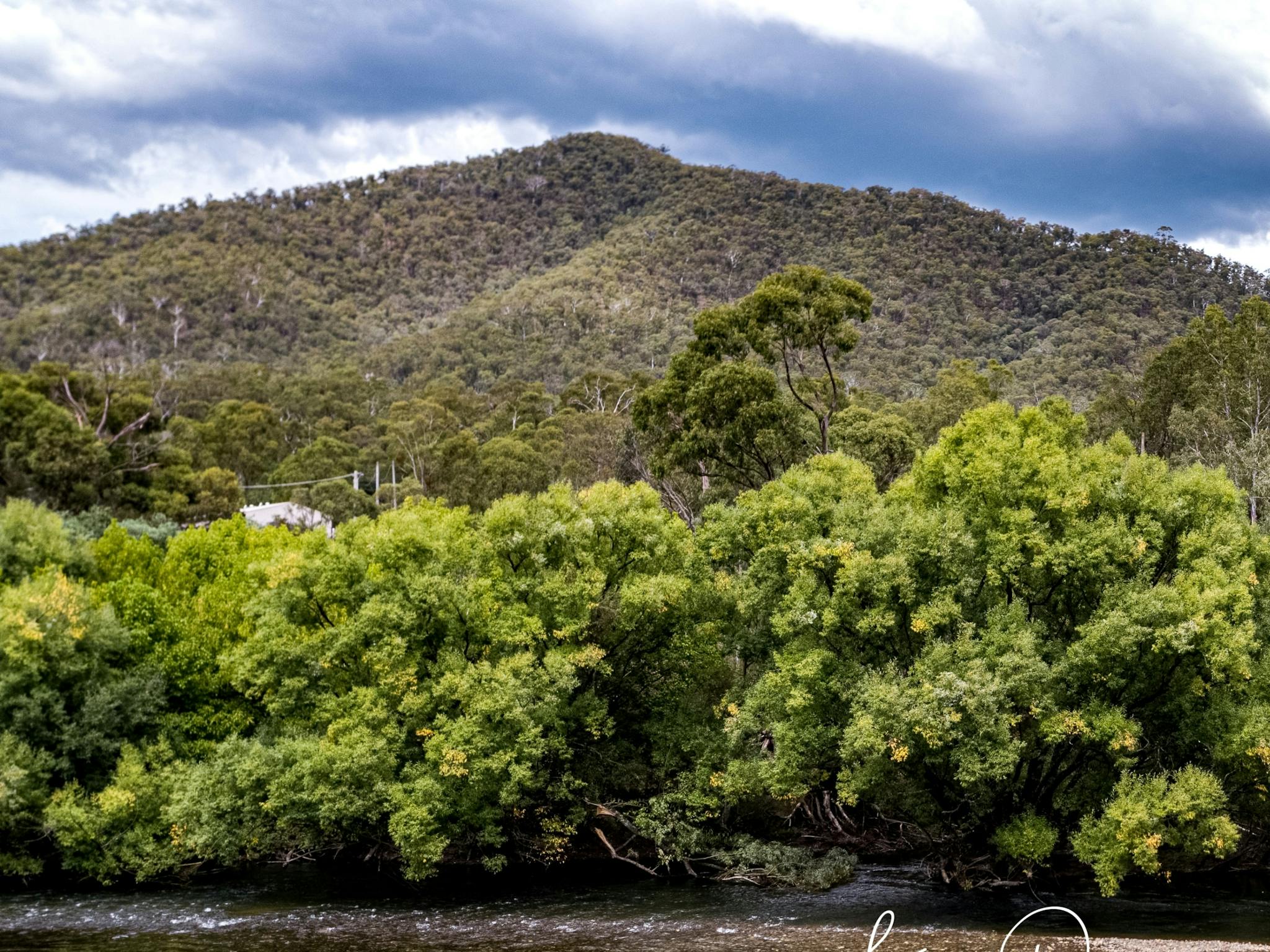 The Junction - where the Snowy Creek meets the Mitta Mitta River