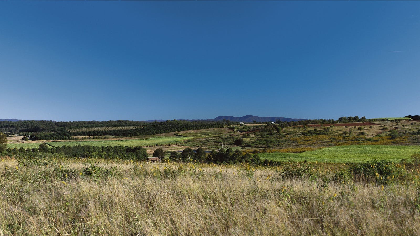 Bruce Highway - Buxton to Miriam Vale