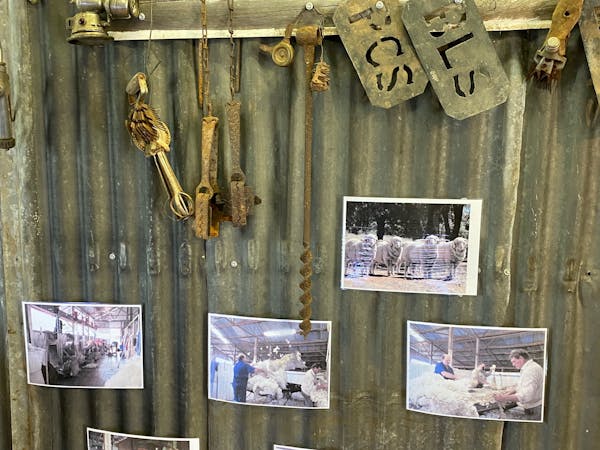 History display