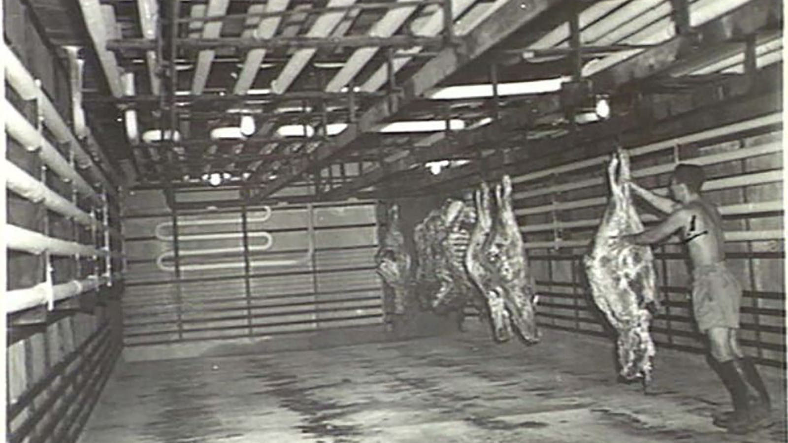 WWII Noonamah Railway Siding and Stores Depot