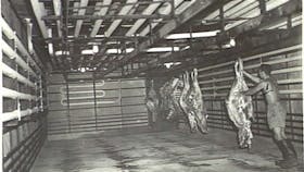 1944 - Hanging beef, Noonamah Refrigerated Stores.