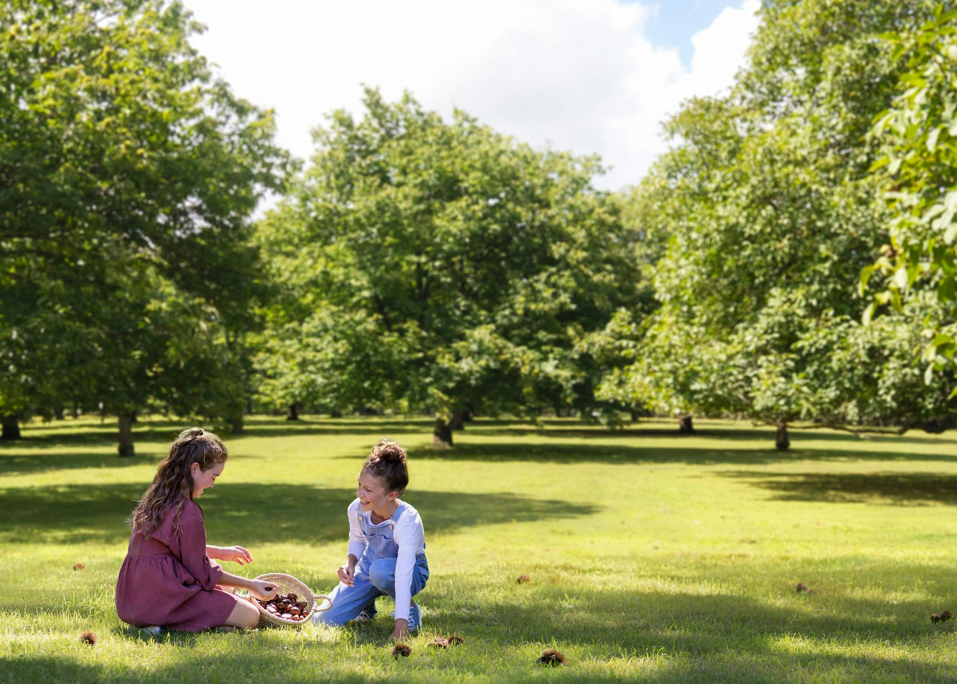 Children enjoying a day of chestnut picking at Nutwood Farm, Mount Irvine