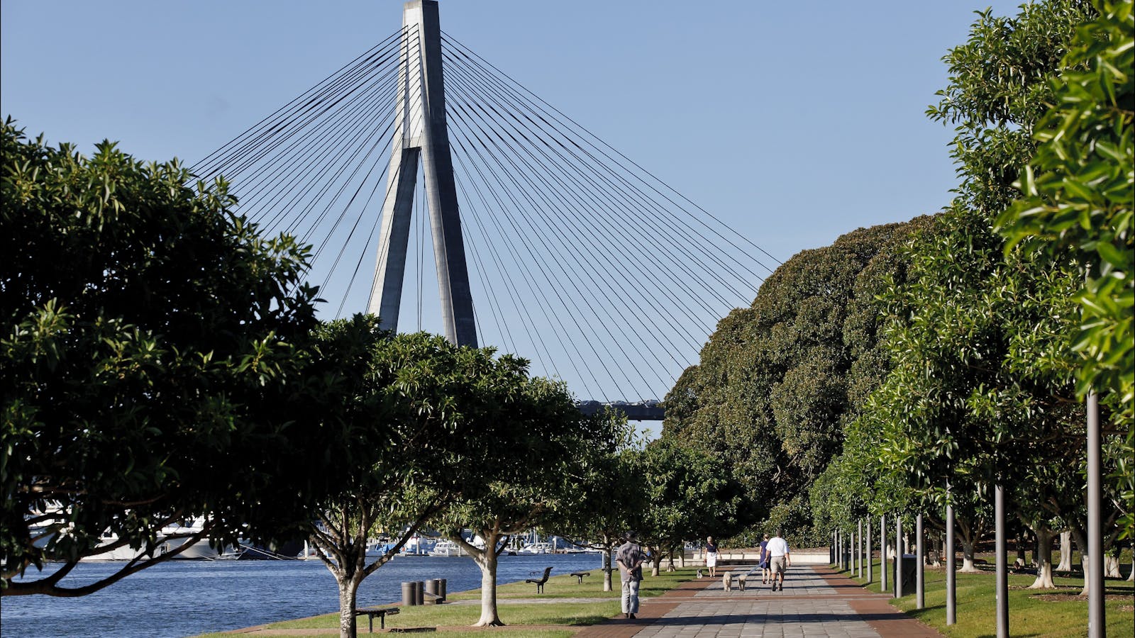 Glebe Foreshore Walk
