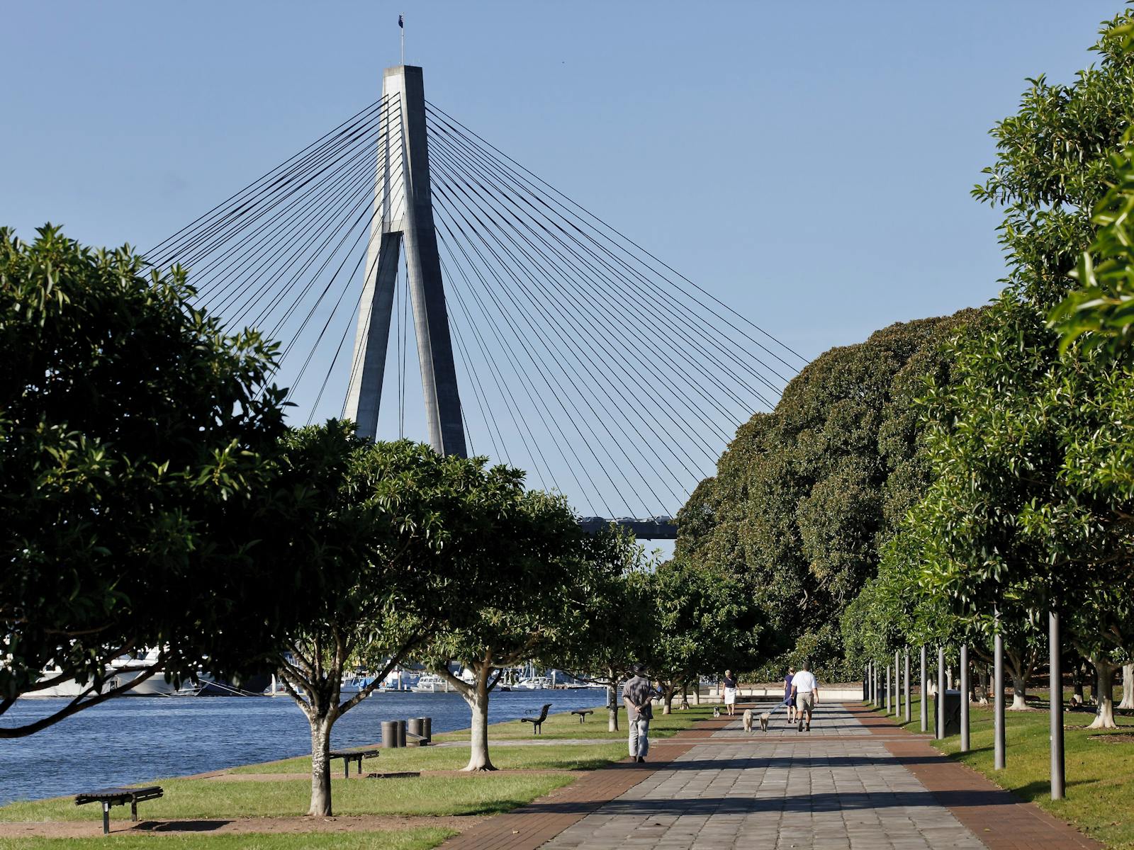 Glebe Foreshore Walk | Sydney, Australia - Official Travel ...