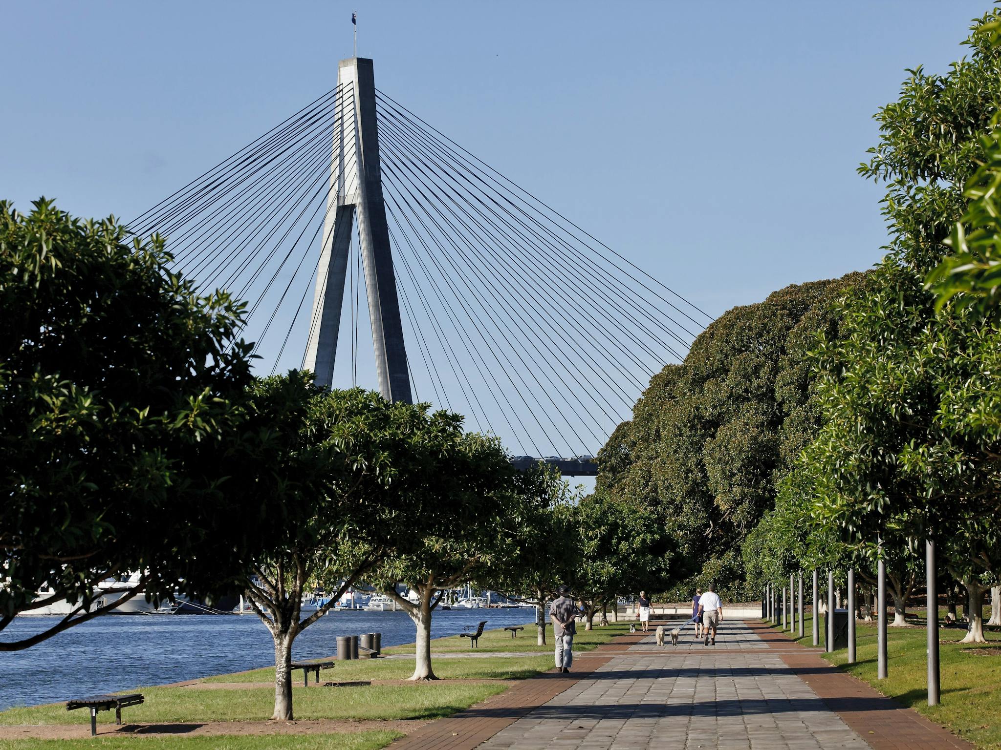 Foreshore walk at Blackwattle Bay Park in Glebe