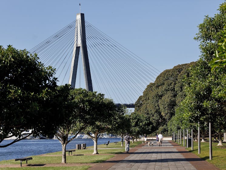 Foreshore walk at Blackwattle Bay Park in Glebe