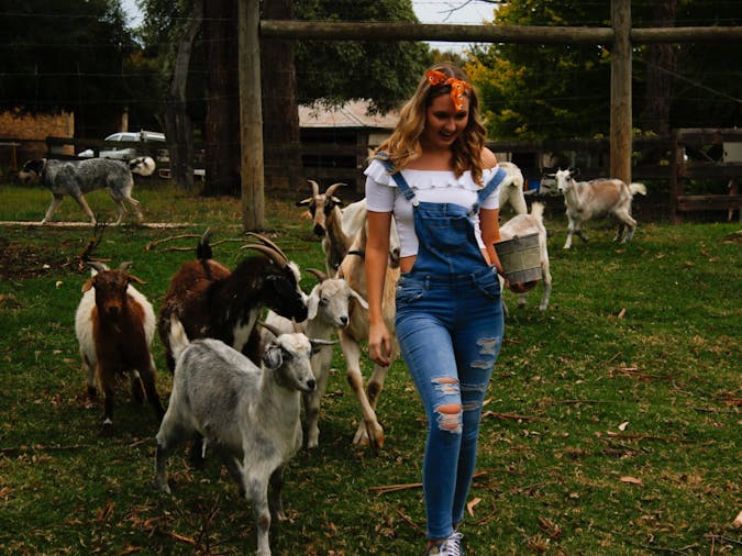 Echo Farm Tours