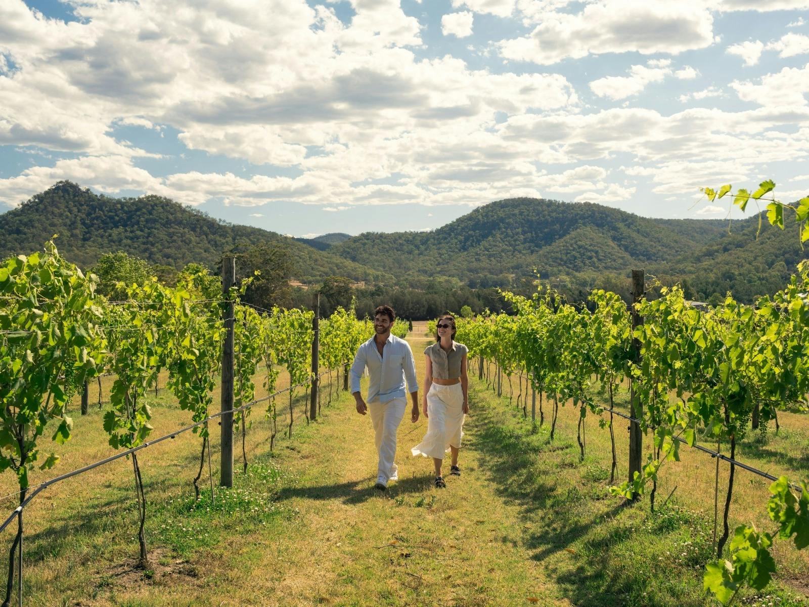 Couple strolling through a vineyard on a sunny day