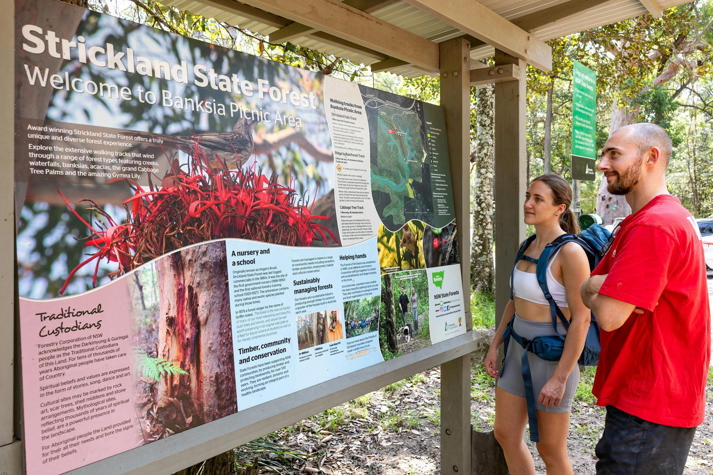 Strickland State Forest intepretive signage at Banksia Picnic Area
