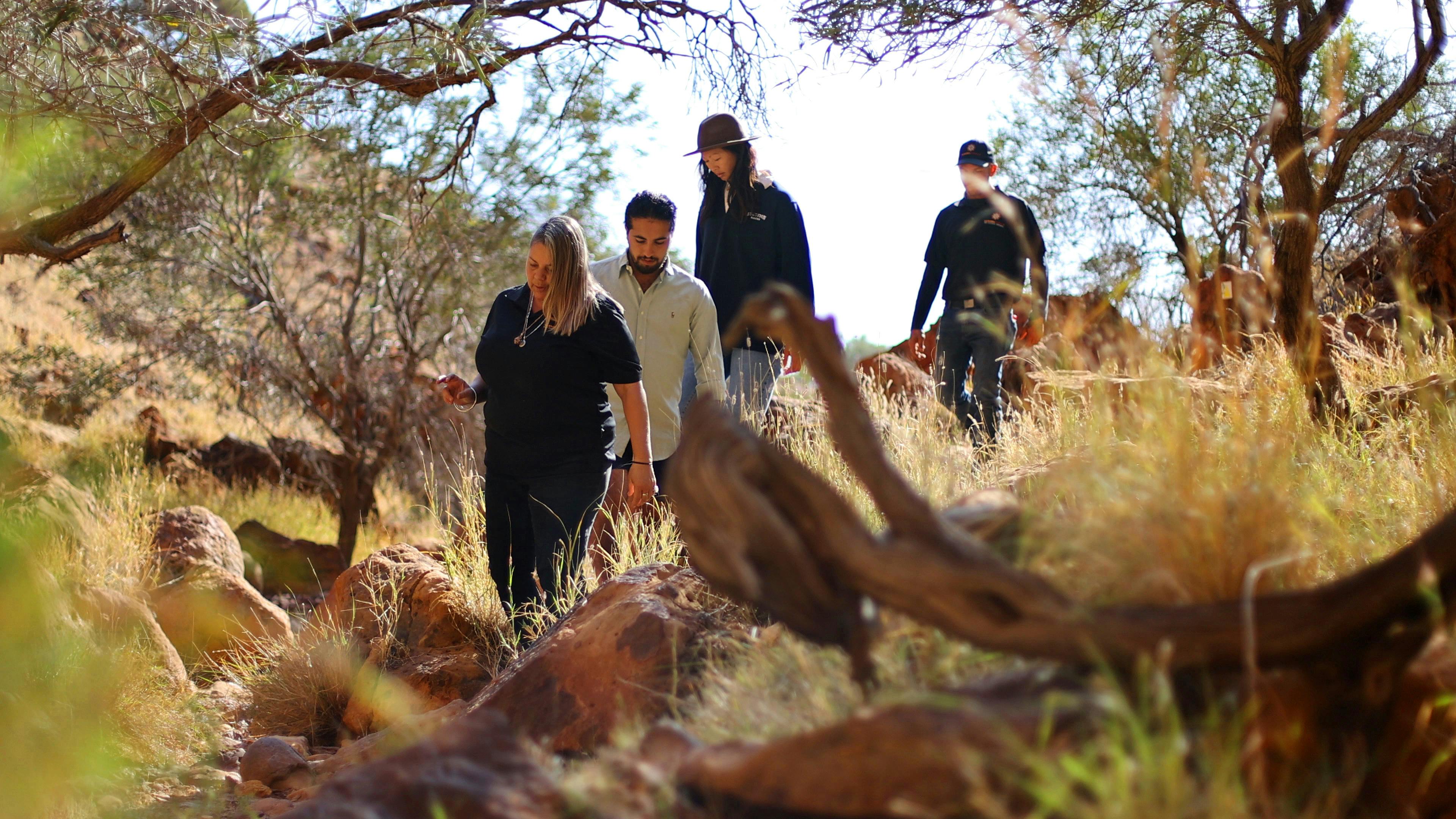 Explore unique land formations, ancient fossilised ocean beds, hidden petroglyphs (rock carvings).