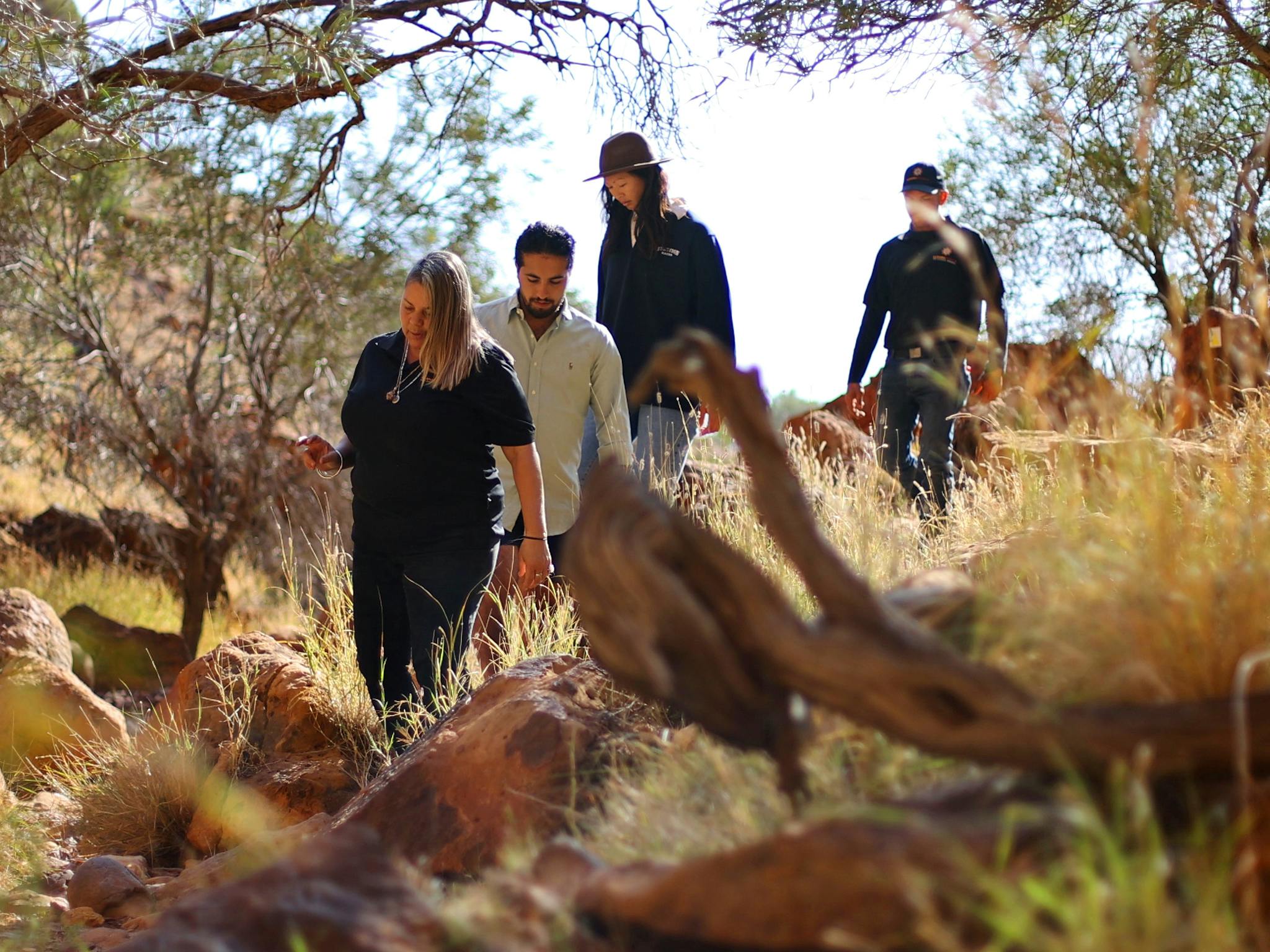 Explore unique land formations, ancient fossilised ocean beds, hidden petroglyphs (rock carvings).