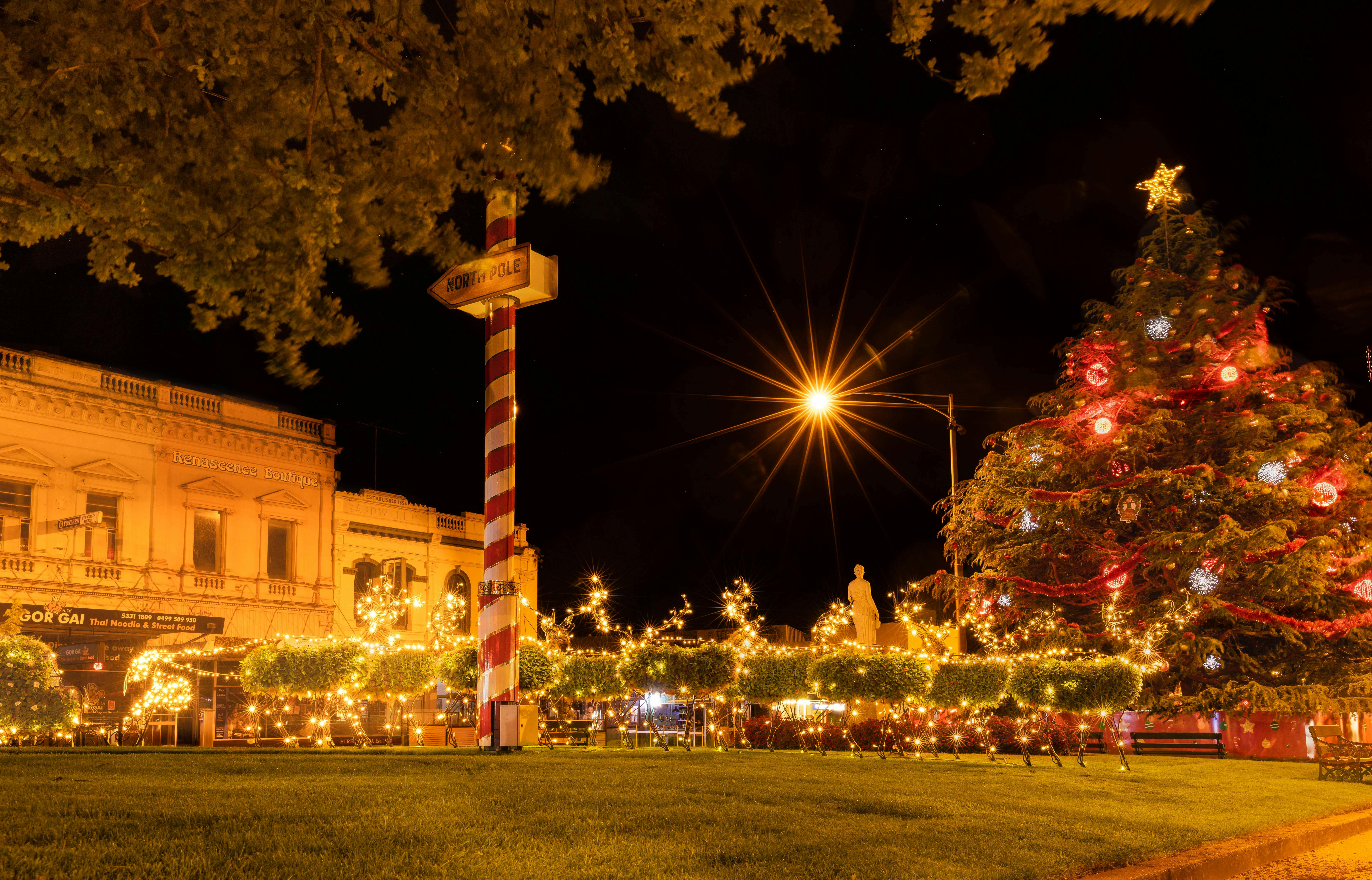 Ballarat's Christmas Tree
